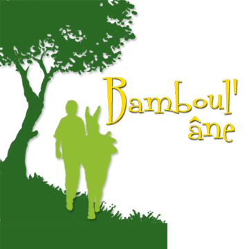 Bamboul'âne : Randonnées avec des ânes de bât 