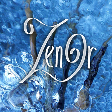 Zénor Artiste Photographe de l'eau